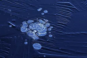 Air Bubble In Ice Drucke: Bubbles and structure in ice