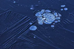 Frozen Winter Landscape Drucke: Bubbles and structure in ice