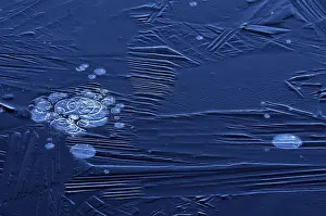 Frozen Winter Scene Drucke: Bubbles and structure in ice