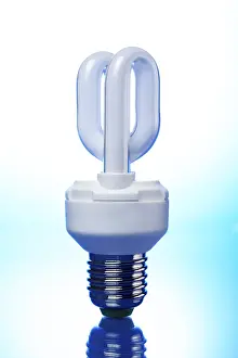Energy Saving Bulb Drucke: Bulb