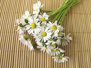 Wildflower Bouquet Drucke: A bunch of daisies