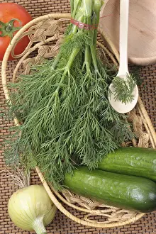 Medicinal Plants Drucke: The bunch of dill lying in a basket on a mat