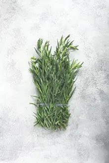 Healthy Eating Herbs Drucke: A bunch of fresh tarragon on the table