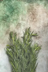 Healthy Eating Greens Drucke: A bunch of fresh tarragon on the table