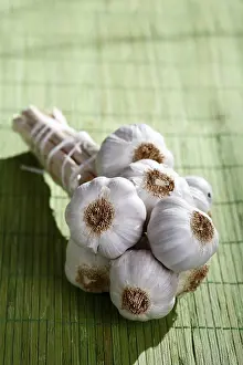 Deserted Grocery Store Drucke: Bunch of garlic