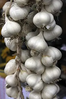 Common Onion Bulb Drucke: Bunch of garlic
