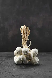 Healthy Vegetable Nutrition Drucke: Bunch of garlic on dark background