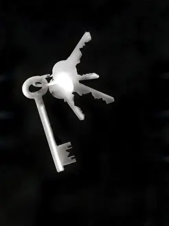 Bunch Of Keys Drucke: Bunch of keys