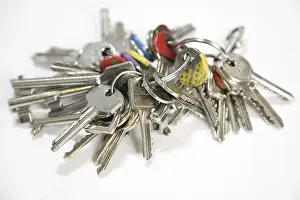 Bunch Of Keys Drucke: Bunch of keys