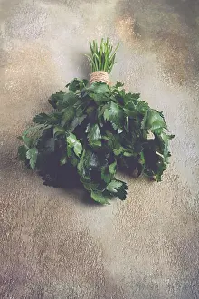 Fresh Parsley Drucke: Bunch of parsley, on the table