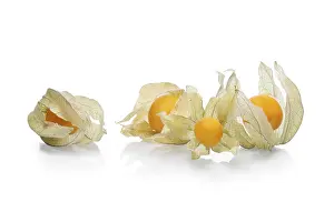 Exotic Dessert Drucke: Bunch physalis with shadow on white background