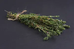 Fragrant Spices Drucke: Bunch of thyme on black background