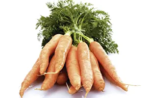 Studio Vegetable Shots Drucke: A bundle of carrots
