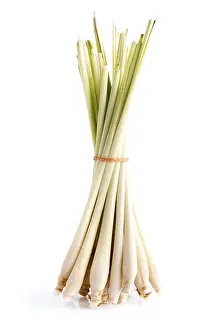 Thai Cuisine Ingredients Drucke: Bundle of Fresh Lemon Grass on white background