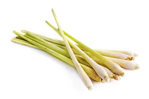 Plain White Background Photo Drucke: Bundle of Fresh Lemon Grass on white background