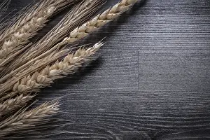 Food Photography Studio Shot Drucke: Bundle of wheat rye ears eating and drinking concept