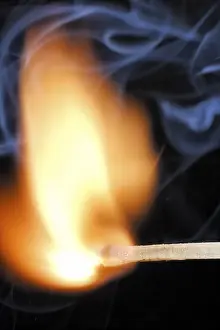 Studio Shot Of Burning Match Drucke: Burning match
