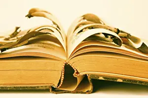 Old Book Details Drucke: Burning old book