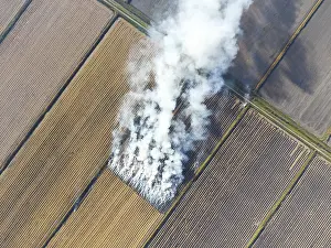 Deserted Farm Fields Drucke: The burning of rice straw in the fields