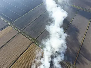 Deserted Farm Field Scene Drucke: The burning of rice straw in the fields