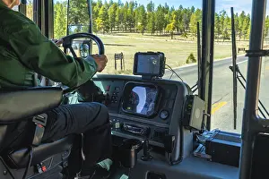 Coniferous Tree Scenery Drucke: Bus driver operating a shuttle vehicle