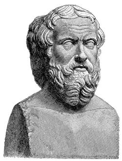 Ancient Greek Historian Drucke: Bust of Herodotus of Halicarnassus