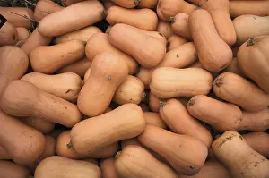 German Pumpkins Drucke: Butternut squash, pumpkins, stall