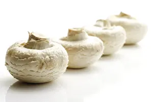 Common Mushroom Nutrition Drucke: Button Mushrooms, Champignons (Agaricus)