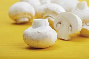 Button Mushrooms Drucke: Button Mushrooms, Champignons (Agaricus)