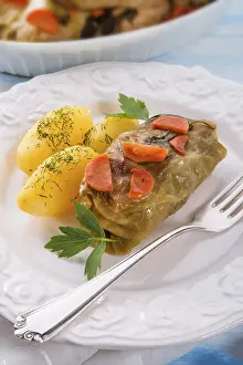 Healthy Lunch Options Nutrition Drucke: Cabbage roll