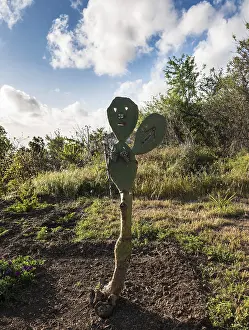 Deserted Canary Island Landscape Drucke: Cactus with a carved face serving as a guide