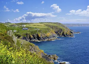 Drucke von Cadgwith, Halbinsel Lizard, Cornwall, England, Vereinigtes Königreich Cadgwith Drucke: Cadgwith, Halbinsel Lizard, Cornwall