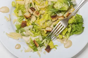 Grocery Store Vegetables Drucke: Caesar salad on a plate