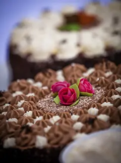 Sweet Treats Meal Drucke: Cake with decoration