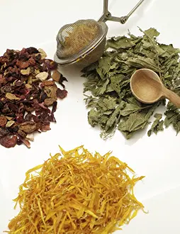 Alternative Medicine Drucke: Calendula, nettle and fruit tea, type of teas
