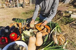 Vegetarian Meal Preparation Drucke: Calsots and an array of fresh vegetables are arranged on a table outdoors