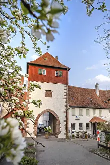 Flowering Trees In Germany Drucke: Calwer Tor with blossoming trees in spring