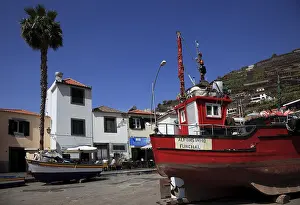 Camara De Lobos Village Drucke: Camara de Lobos, at the harbour