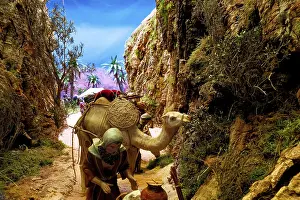Costa Blanca Landscape Drucke: A camel with loads wanders through a narrow
