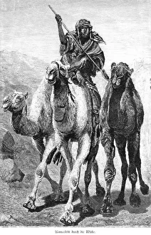 North African Desert Scenes Drucke: Camel ride through the desert, Egypt