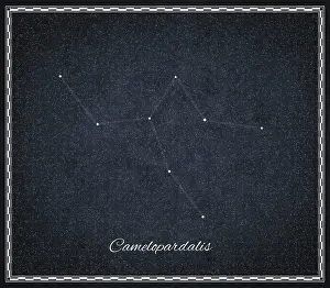 Dark Sky Astronomy Drucke: Camelopardalis star constellation