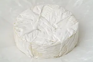 Camembert Cheese Drucke: Camembert Cheese