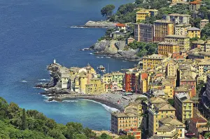 Drucke von Camogli 05 Verwandte Bilder Drucke: Camogli 05