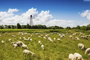 North Sea Lighthouse Drucke: Campen Lighthouse, highest lighthouse in Germany