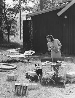 Disposable Tableware Drucke: Camping in the 1960s