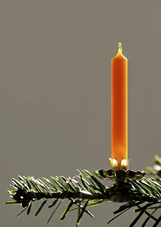 Christmas Tree Decoration Drucke: Candle