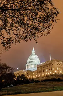 North America Landmarks Drucke: US Capitol Building in spring- Washington DC