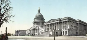 Washington D.C Landmark Drucke: The Capitol in Washington D.C