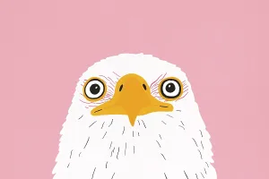 Pink Background Art Drucke: A captivating illustration of a bald eagle