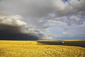 Agricultural Landscape Drucke: The car on highway among the fields